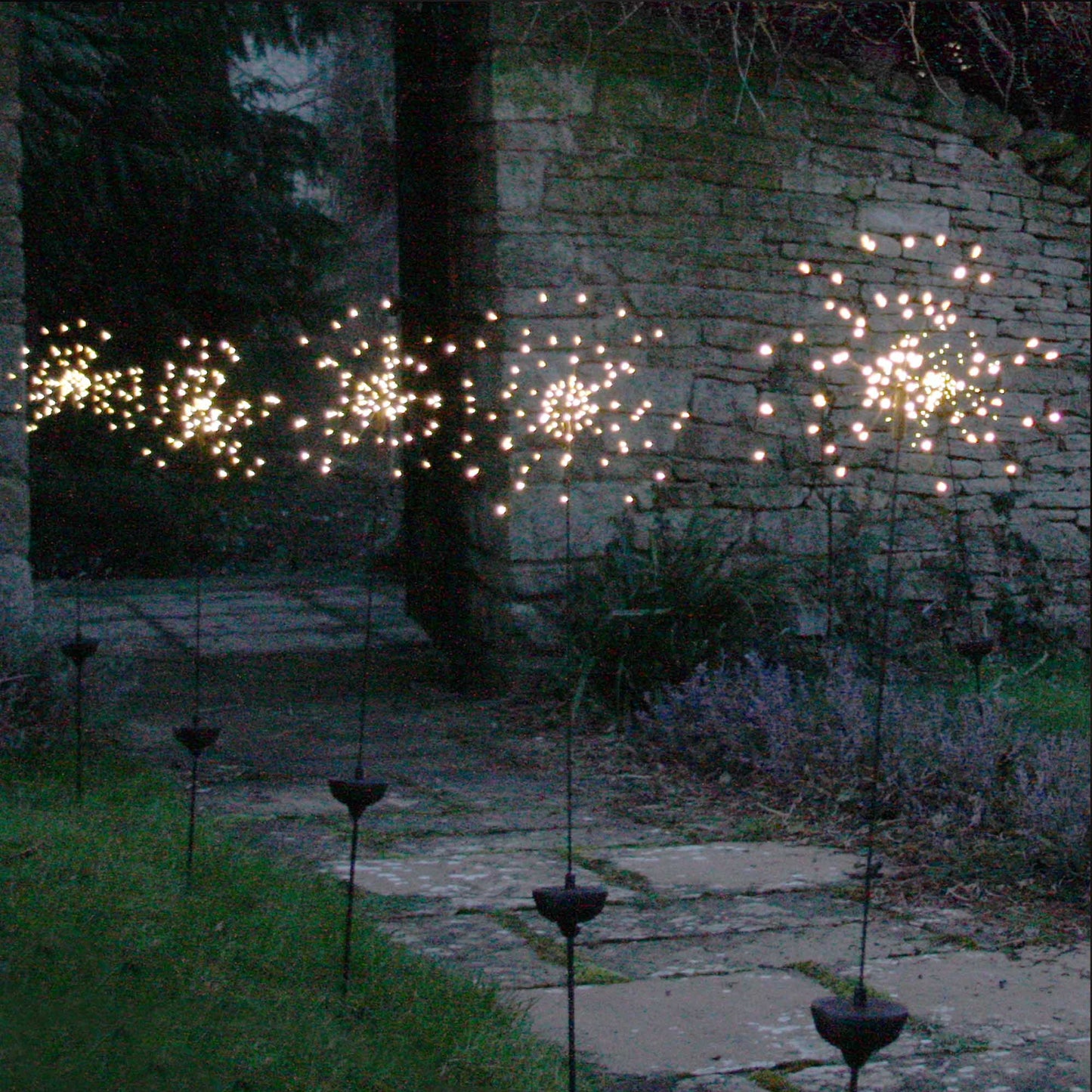 Solar Starburst
